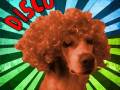 afro-disco-dog