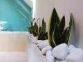 bitkilerle-banyo-dekorasyonu-34