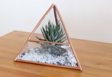 DIY Geometric Terrarium