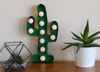 DIY Cactus LED Lamp