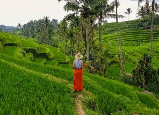 Bali’de Gezilecek Yerler ve Az Bilinen Duraklar