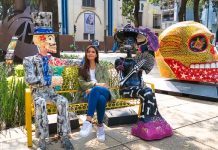 Mexico City Gezi Notlarımız